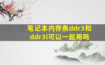 笔记本内存条ddr3和ddr3l可以一起用吗