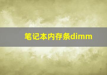 笔记本内存条dimm