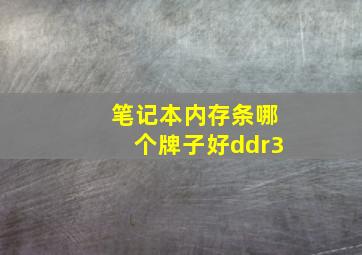 笔记本内存条哪个牌子好ddr3