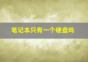 笔记本只有一个硬盘吗