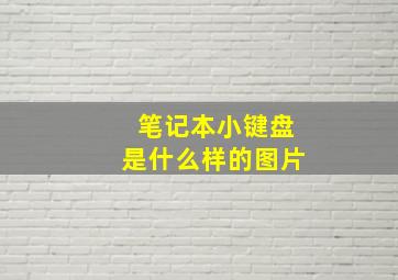 笔记本小键盘是什么样的图片