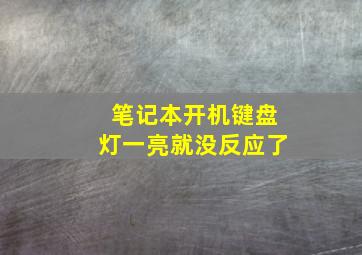 笔记本开机键盘灯一亮就没反应了