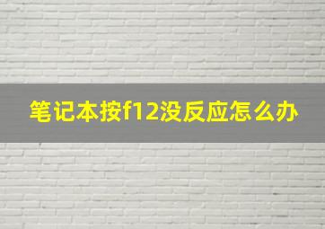 笔记本按f12没反应怎么办