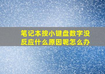 笔记本按小键盘数字没反应什么原因呢怎么办