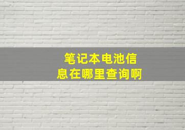 笔记本电池信息在哪里查询啊