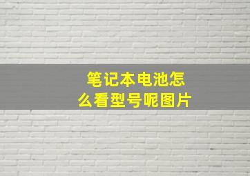 笔记本电池怎么看型号呢图片