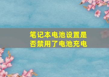 笔记本电池设置是否禁用了电池充电