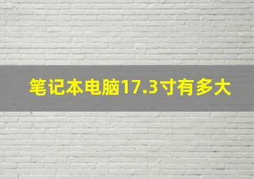 笔记本电脑17.3寸有多大