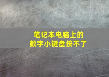 笔记本电脑上的数字小键盘按不了