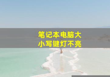 笔记本电脑大小写键灯不亮