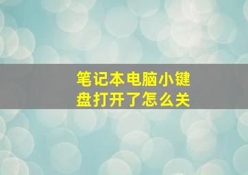 笔记本电脑小键盘打开了怎么关