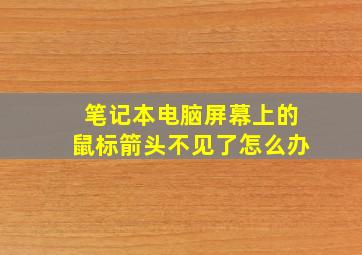 笔记本电脑屏幕上的鼠标箭头不见了怎么办