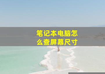 笔记本电脑怎么查屏幕尺寸