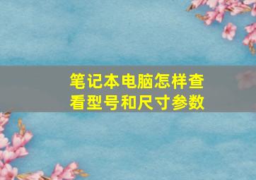 笔记本电脑怎样查看型号和尺寸参数