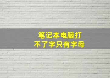 笔记本电脑打不了字只有字母