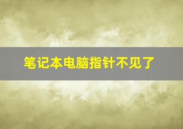 笔记本电脑指针不见了