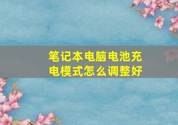 笔记本电脑电池充电模式怎么调整好