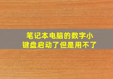 笔记本电脑的数字小键盘启动了但是用不了