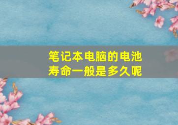 笔记本电脑的电池寿命一般是多久呢