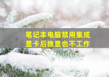 笔记本电脑禁用集成显卡后独显也不工作