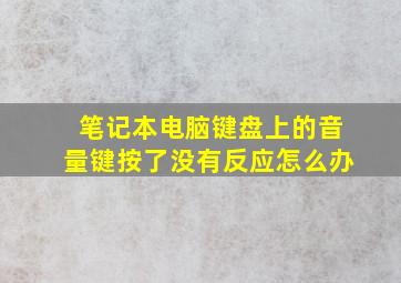 笔记本电脑键盘上的音量键按了没有反应怎么办