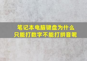 笔记本电脑键盘为什么只能打数字不能打拼音呢