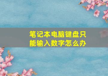 笔记本电脑键盘只能输入数字怎么办