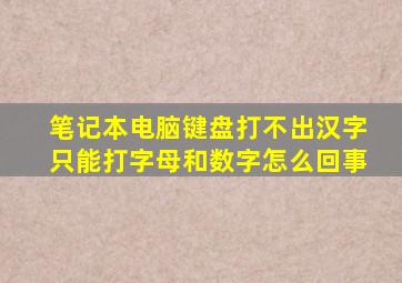 笔记本电脑键盘打不出汉字只能打字母和数字怎么回事