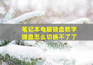 笔记本电脑键盘数字键盘怎么切换不了了