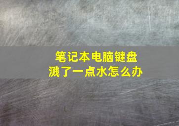 笔记本电脑键盘溅了一点水怎么办