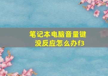 笔记本电脑音量键没反应怎么办f3