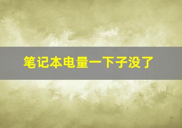 笔记本电量一下子没了