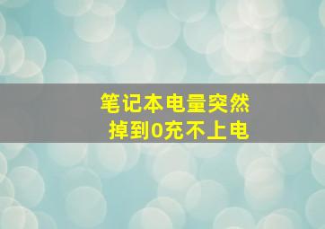 笔记本电量突然掉到0充不上电