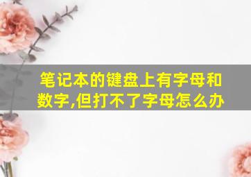 笔记本的键盘上有字母和数字,但打不了字母怎么办