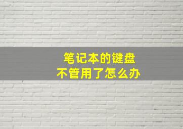 笔记本的键盘不管用了怎么办