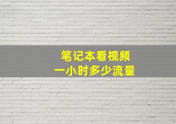 笔记本看视频一小时多少流量