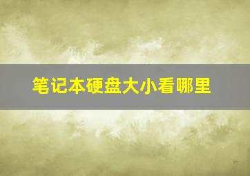 笔记本硬盘大小看哪里