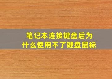 笔记本连接键盘后为什么使用不了键盘鼠标