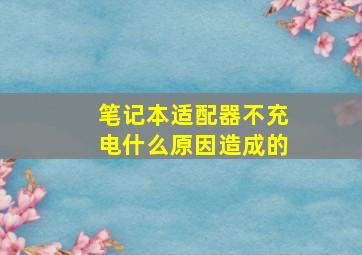 笔记本适配器不充电什么原因造成的