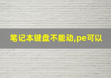 笔记本键盘不能动,pe可以