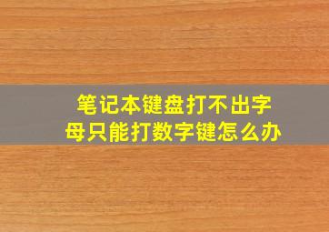 笔记本键盘打不出字母只能打数字键怎么办