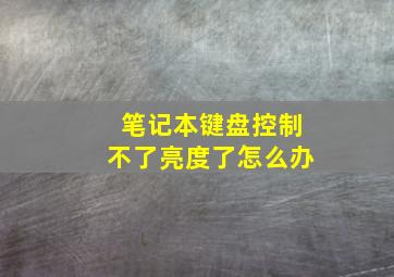 笔记本键盘控制不了亮度了怎么办