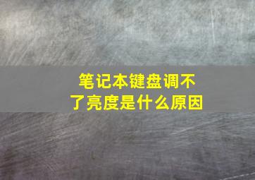 笔记本键盘调不了亮度是什么原因