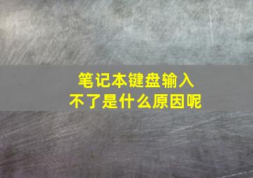 笔记本键盘输入不了是什么原因呢