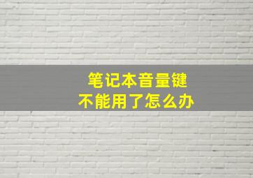 笔记本音量键不能用了怎么办