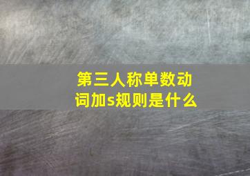 第三人称单数动词加s规则是什么