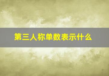 第三人称单数表示什么