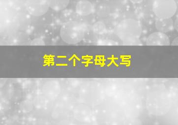 第二个字母大写