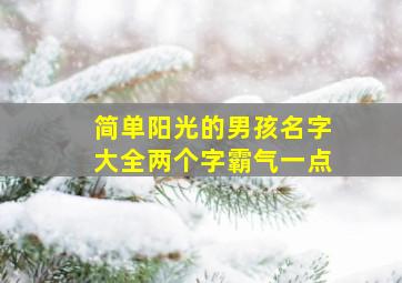 简单阳光的男孩名字大全两个字霸气一点