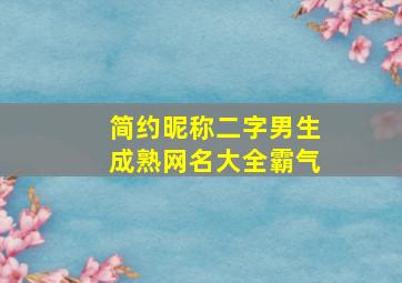 简约昵称二字男生成熟网名大全霸气